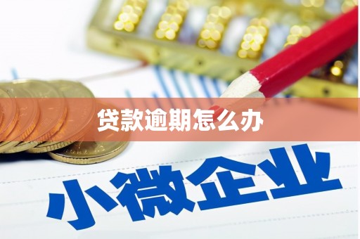 临海贷款逾期怎么办