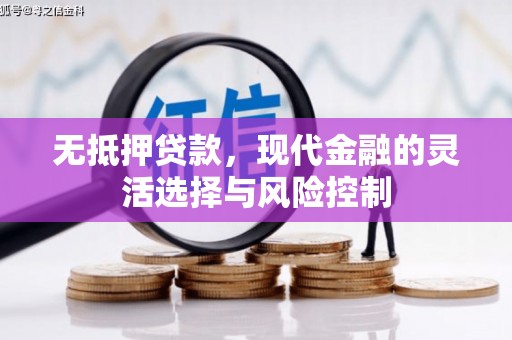 临海无抵押贷款，现代金融的灵活选择与风险控制