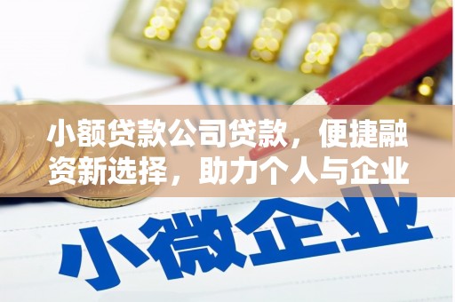 临海小额贷款公司贷款，便捷融资新选择，助力个人与企业成长