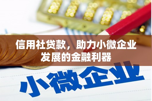 临海信用社贷款，助力小微企业发展的金融利器