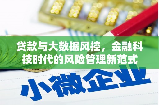 临海贷款与大数据风控，金融科技时代的风险管理新范式