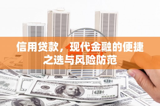 临海信用贷款，现代金融的便捷之选与风险防范