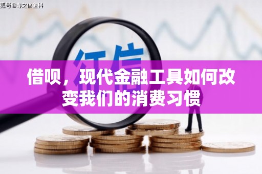 临海借呗，现代金融工具如何改变我们的消费习惯
