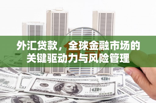 临海外汇贷款，全球金融市场的关键驱动力与风险管理