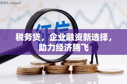 临海税务贷，企业融资新选择，助力经济腾飞
