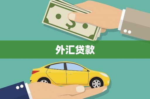 临海外汇贷款