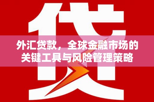 临海外汇贷款，全球金融市场的关键工具与风险管理策略