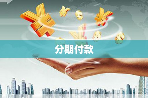 临海分期付款