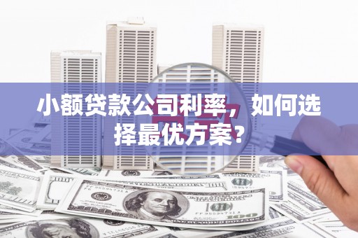 临海小额贷款公司利率，如何选择最优方案？