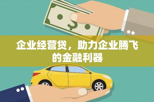 临海企业经营贷，助力企业腾飞的金融利器