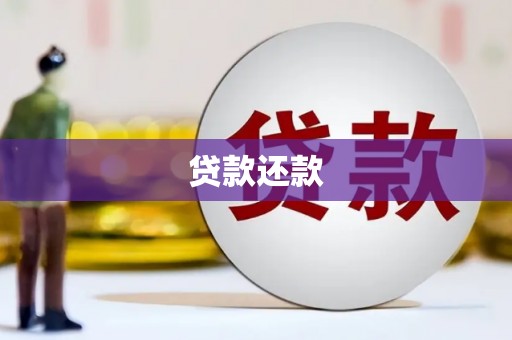 临海贷款还款