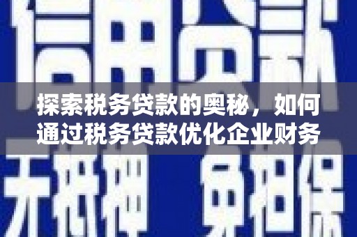 临海探索税务贷款的奥秘，如何通过税务贷款优化企业财务