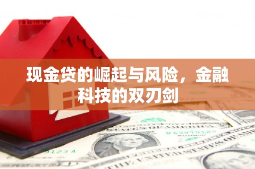临海现金贷的崛起与风险，金融科技的双刃剑