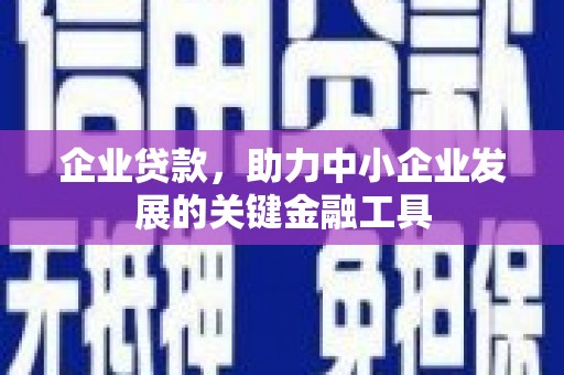 临海企业贷款，助力中小企业发展的关键金融工具