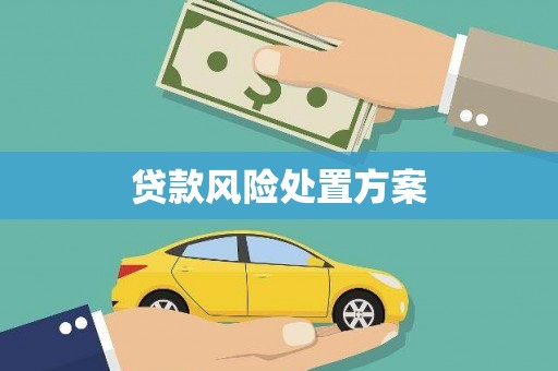 临海贷款风险处置方案
