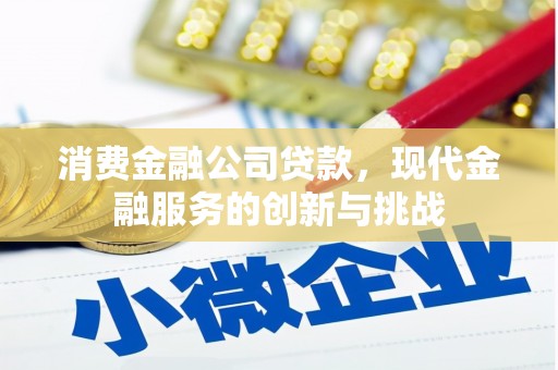 临海消费金融公司贷款，现代金融服务的创新与挑战