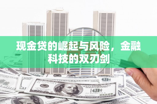 临海现金贷的崛起与风险，金融科技的双刃剑