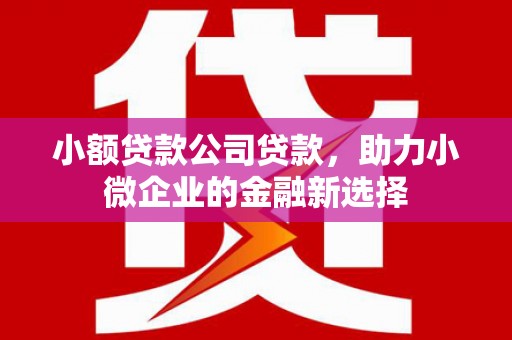 临海小额贷款公司贷款，助力小微企业的金融新选择