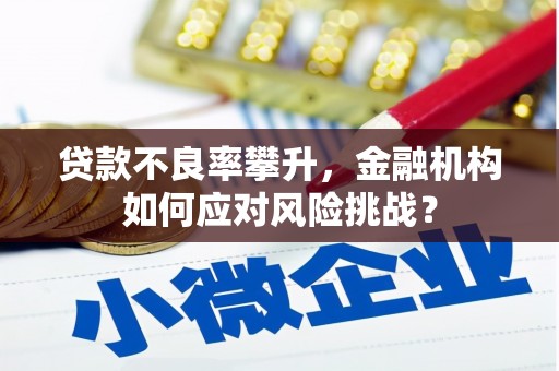 临海贷款不良率攀升，金融机构如何应对风险挑战？