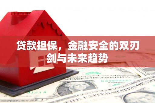 临海贷款担保，金融安全的双刃剑与未来趋势