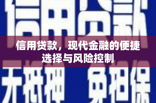 临海信用贷款，现代金融的便捷选择与风险控制
