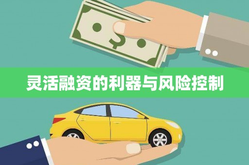 临海灵活融资的利器与风险控制