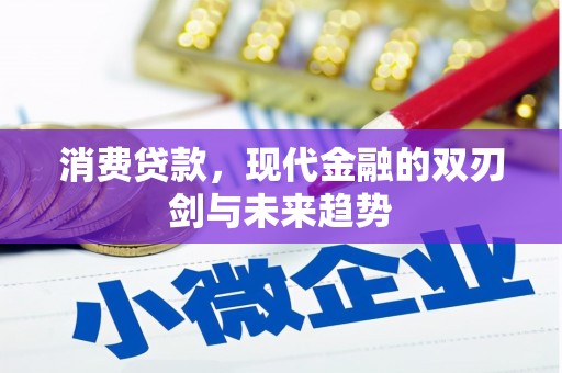 临海消费贷款，现代金融的双刃剑与未来趋势
