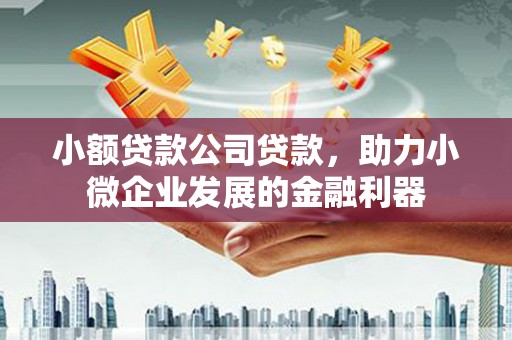 临海小额贷款公司贷款，助力小微企业发展的金融利器