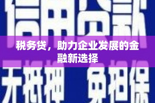 临海税务贷，助力企业发展的金融新选择