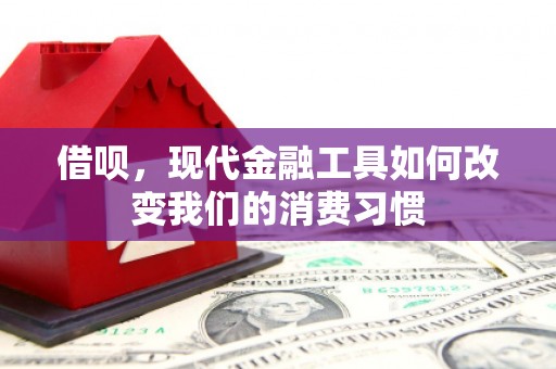临海借呗，现代金融工具如何改变我们的消费习惯