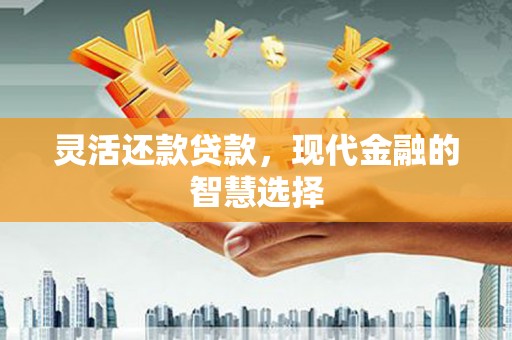 临海灵活还款贷款，现代金融的智慧选择