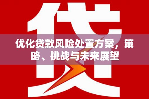 临海优化贷款风险处置方案，策略、挑战与未来展望