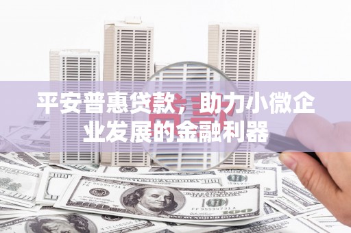 临海平安普惠贷款，助力小微企业发展的金融利器