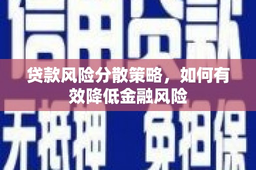 临海贷款风险分散策略，如何有效降低金融风险