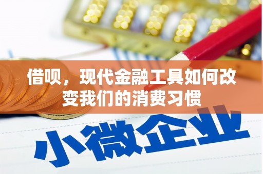 临海借呗，现代金融工具如何改变我们的消费习惯
