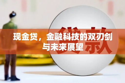 临海现金贷，金融科技的双刃剑与未来展望