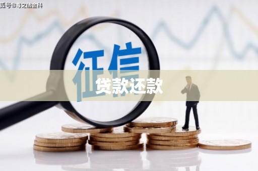 临海贷款还款