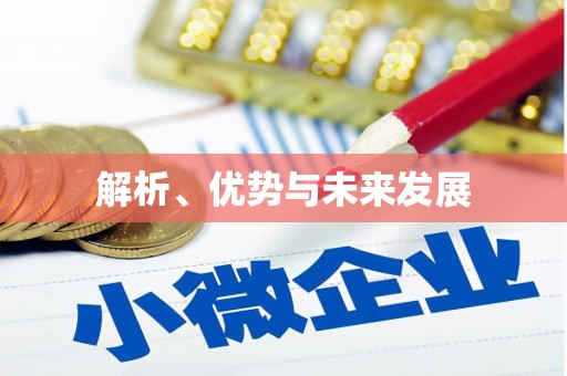 临海解析、优势与未来发展