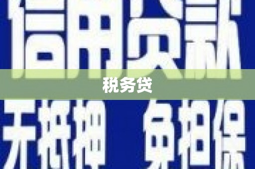 临海税务贷