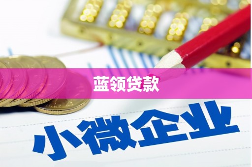 临海蓝领贷款