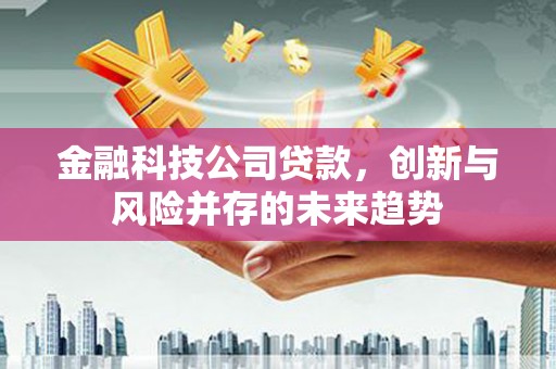 临海金融科技公司贷款，创新与风险并存的未来趋势