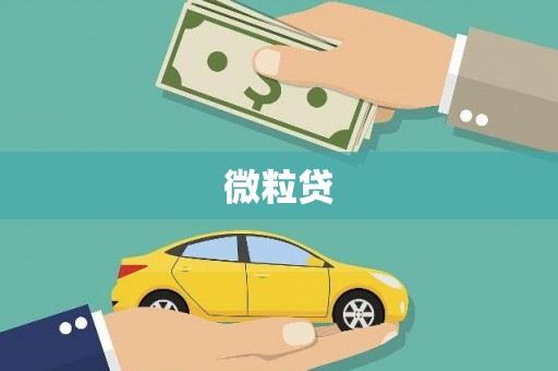 临海微粒贷