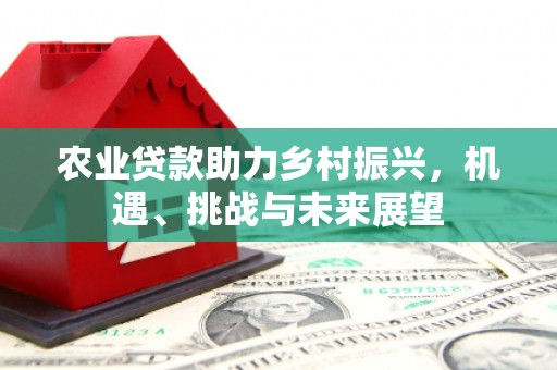 临海农业贷款助力乡村振兴，机遇、挑战与未来展望