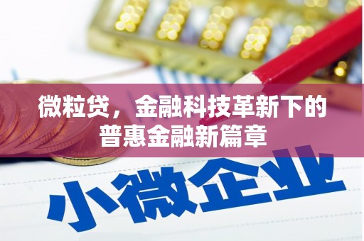 临海微粒贷，金融科技革新下的普惠金融新篇章