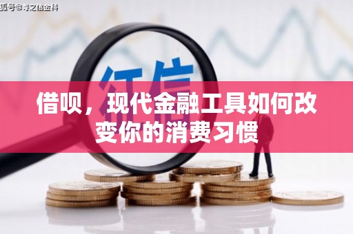 临海借呗，现代金融工具如何改变你的消费习惯