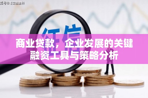 临海商业贷款，企业发展的关键融资工具与策略分析