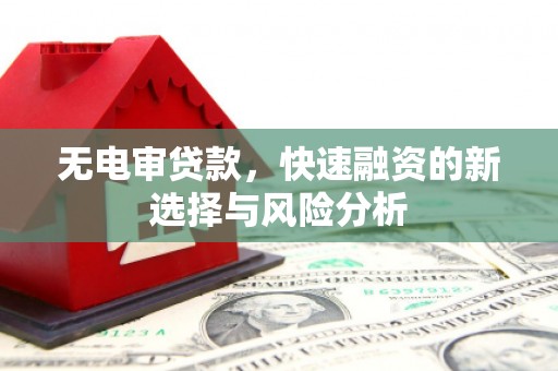 临海无电审贷款，快速融资的新选择与风险分析