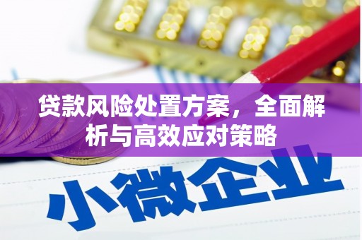 临海贷款风险处置方案，全面解析与高效应对策略