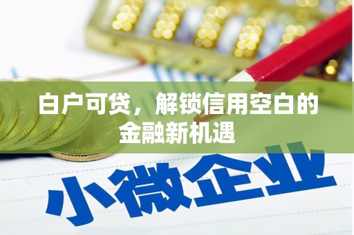 临海白户可贷，解锁信用空白的金融新机遇