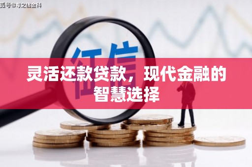 临海灵活还款贷款，现代金融的智慧选择